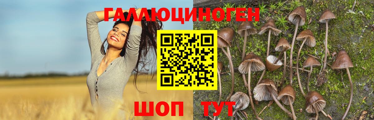 Псилоцибиновые грибы Magic Shrooms  Вход с VPN  Алатырь 