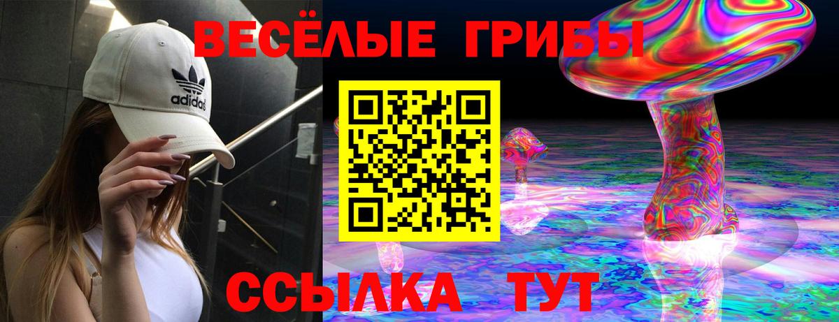 Псилоцибиновые грибы прущие грибы Алатырь
